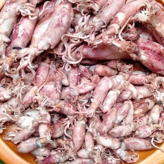 

Cumi Asin 1kg