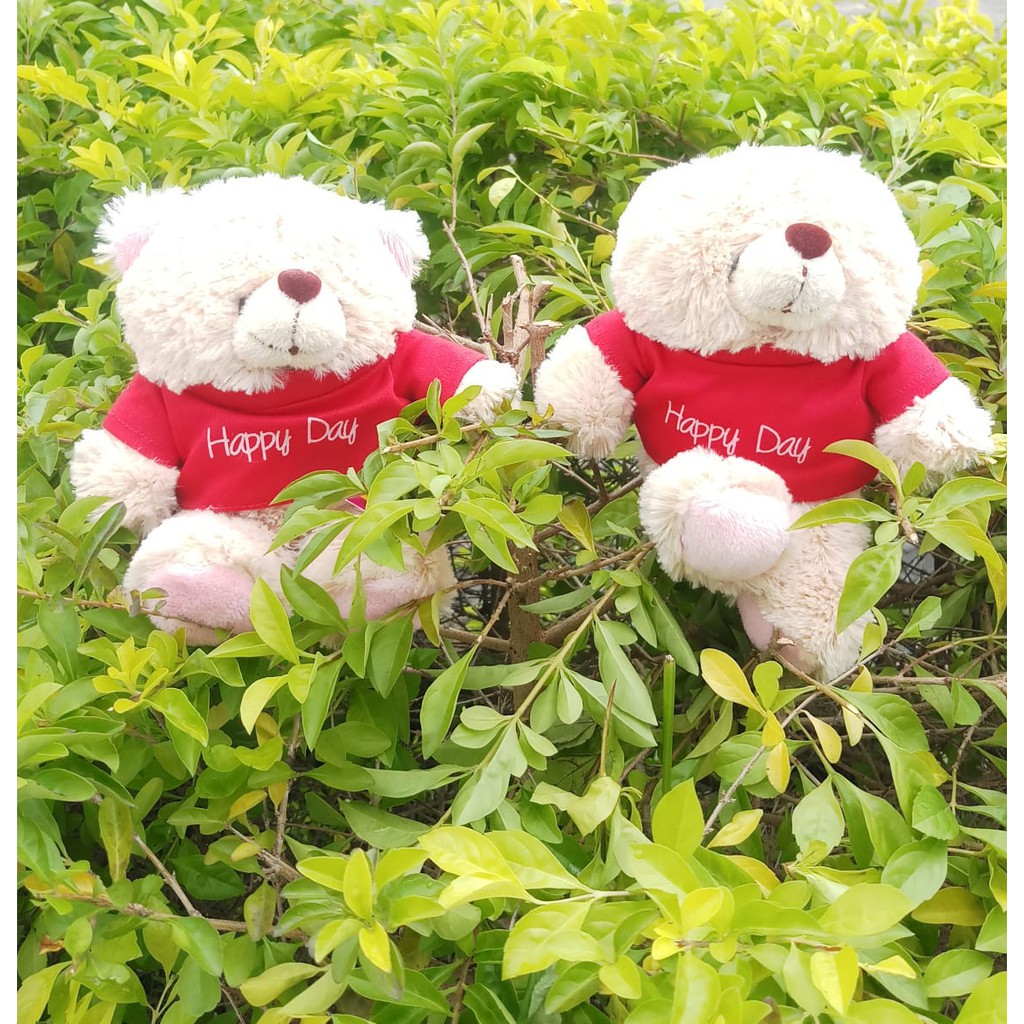 BONEKA TEDY BEAR T-SHIRT 6 INC