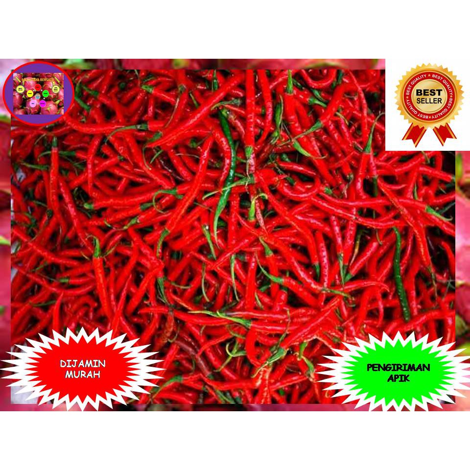 

CABE MERAH CABAI MERAH KRITING 1 kg