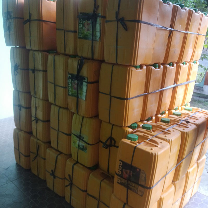 Molase Tetes Tebu Buat Campuran Indigo Pasta