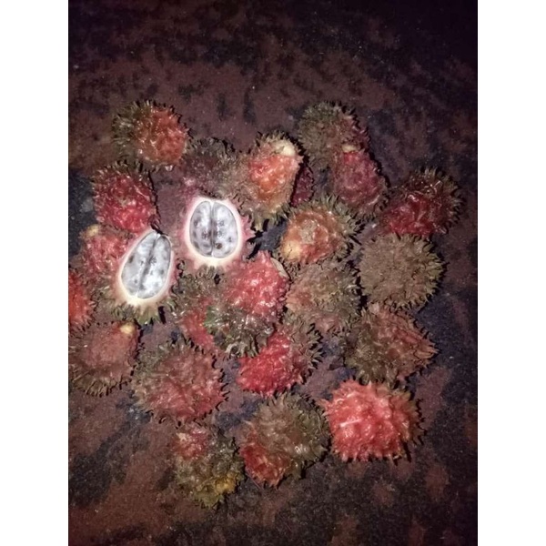 Buah Laja 1 kg Manis / Rambutan Tanah
