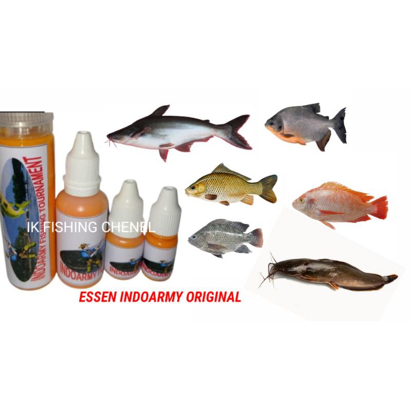 Esen lumut indoarmy  esen mancing nila esen cacing umpan ikan