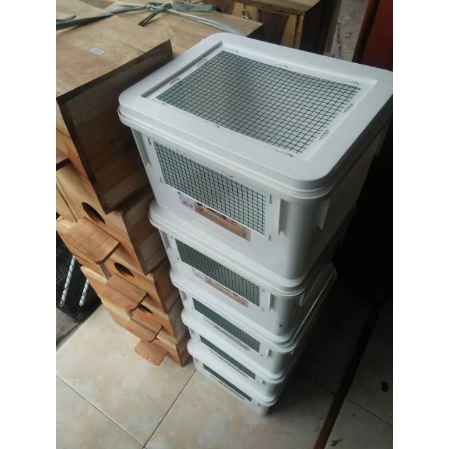 Box wadah anakan burung loloh