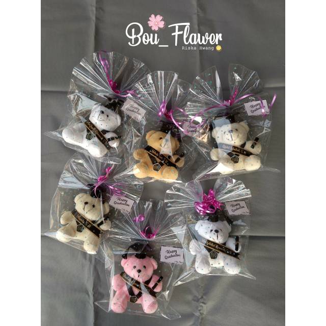 BONEKA WISUDA/ BONEKA BEAR MINI/ BONEKA BEAR WISUDA/ BONEKA MINI/ BONEKA PIALA WISUDA/ PIALA WISUDA