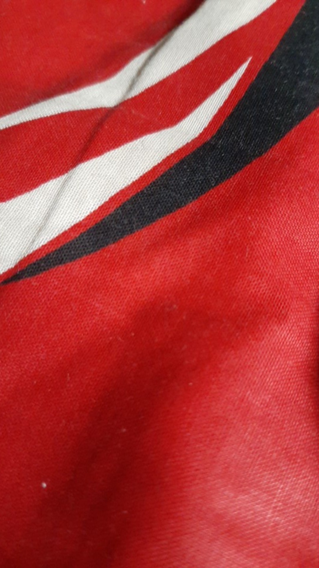 Aglonema Lipstik ( Siam Aurora) Aglopedia