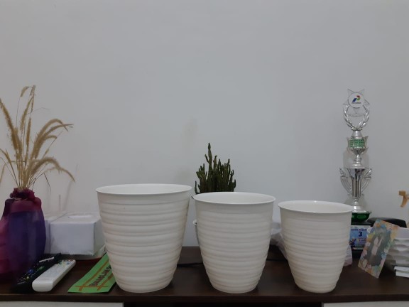 Pot Tawon Tirus 21 Cm