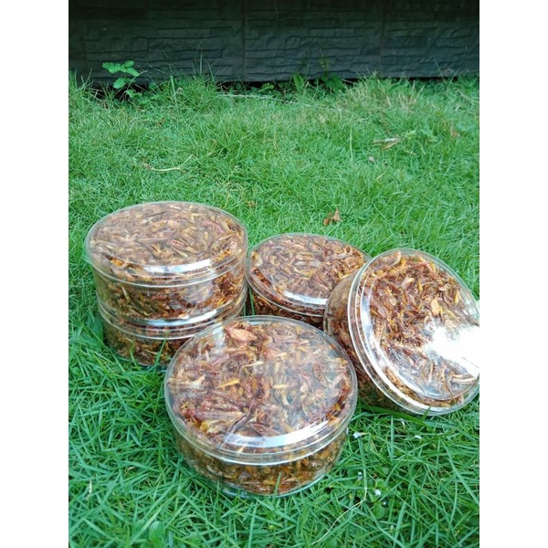 

belalang/walang goreng enak 100gram