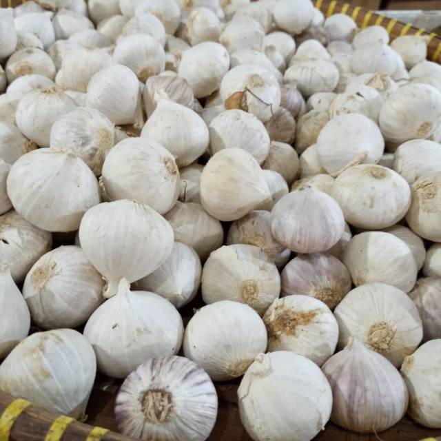 

Bawang putih tunggal , berat 250 gram