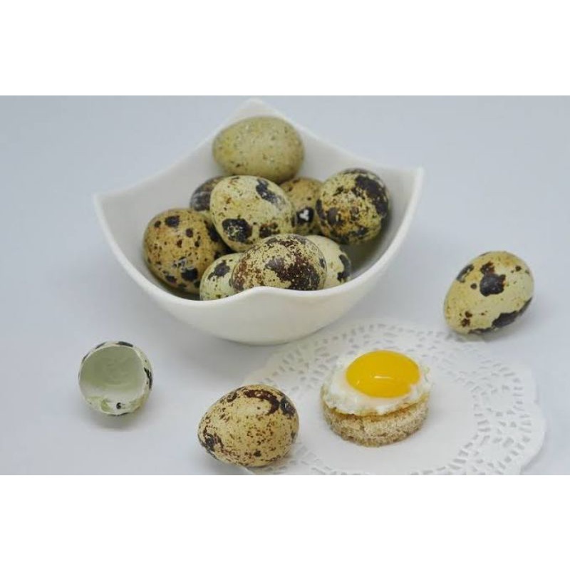 

Telur Puyuh Mentah / Matang