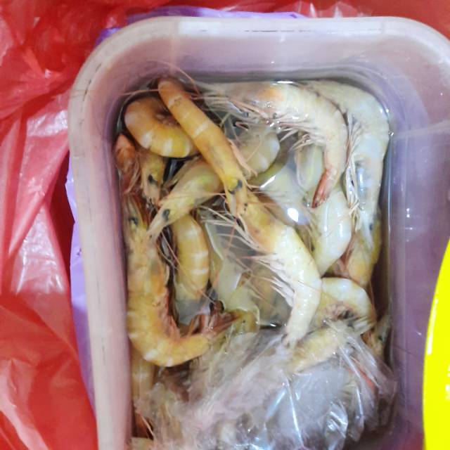 

Udang 1 kg