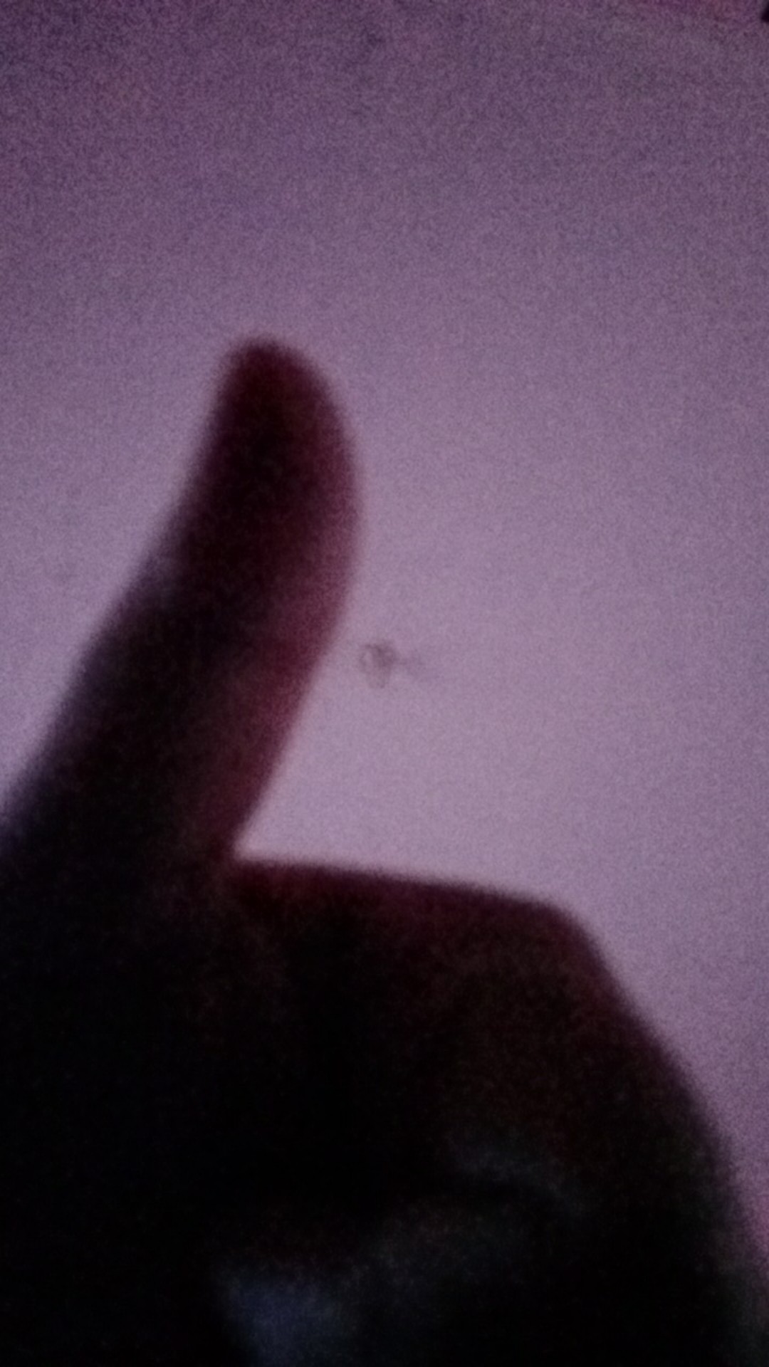 Gantungan Botol Sabun / Holder Hook Shampo / Gantungan Tempelan Tembok / Dispenser Sabun