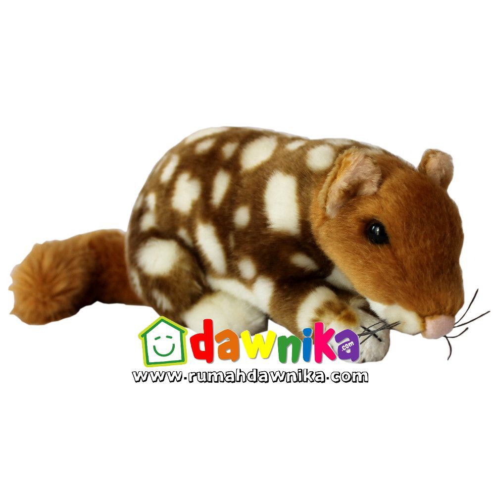Boneka Hewan Kuskus Mini Cuscus Stuffed Animal Animatoys