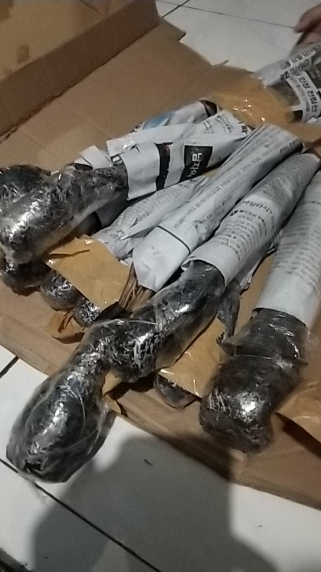 Tanaman Hias Peace Lily Sepatu Phylum Pohon Sepatu Pilem