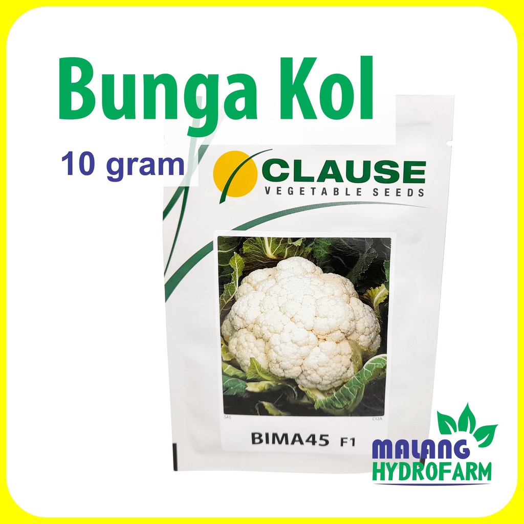 Benih Bunga Kol Bima 45 F1 10 gram Clause bibit sayur kembang hijau putih hidroponik biji hydroponik