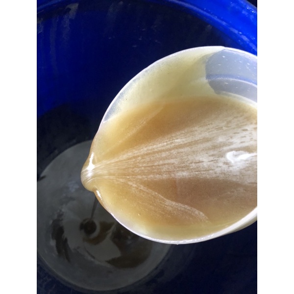 

GROSIR MADU MURNI ASLI CURAH PURE RAW HONEY 10KG PALING MURAH (MINUMAN+MAKANAN) SEHAT ALAMI HERBAL PREMIUM