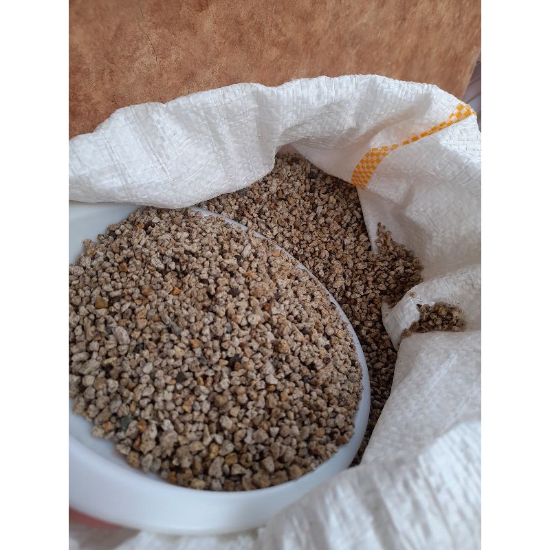pumice media tanam(1kg)