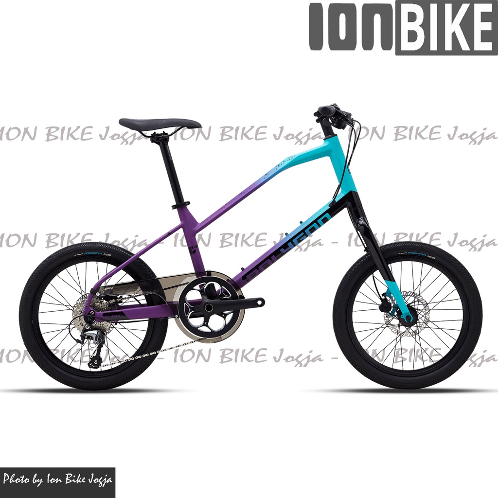 Sepeda Polygon 20 Zeta 2 T Sepeda Mini Velo Minivelo Gili Terbaru
