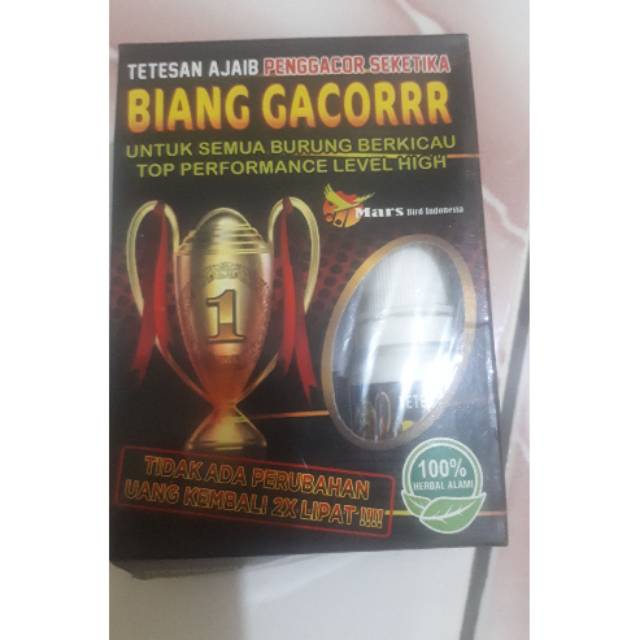 

Biang gacorrr