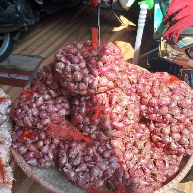 

Bawang merah