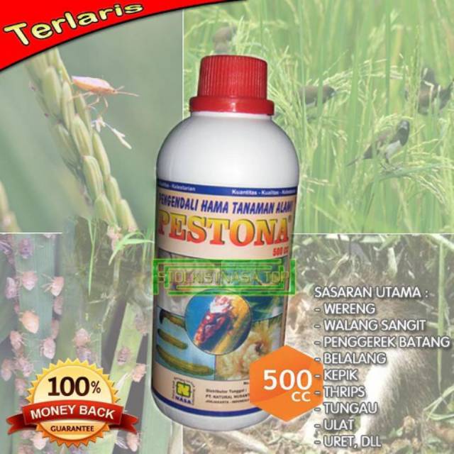 PESTONA Pestisida Nasa