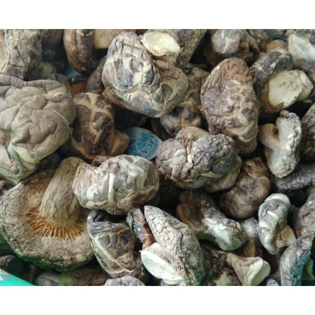 

Jamur Hioko ukuran 2 - 3 cm ( 50 gr,100 gr )