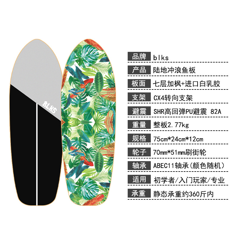 75x24cm Papan Cruise Board Untuk Latihan Skateboard Pemula Cx4