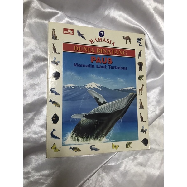 Buku Pengetahuan Anak Rahasia Dunia Binatang Paus Mamalia Laut Terbesar