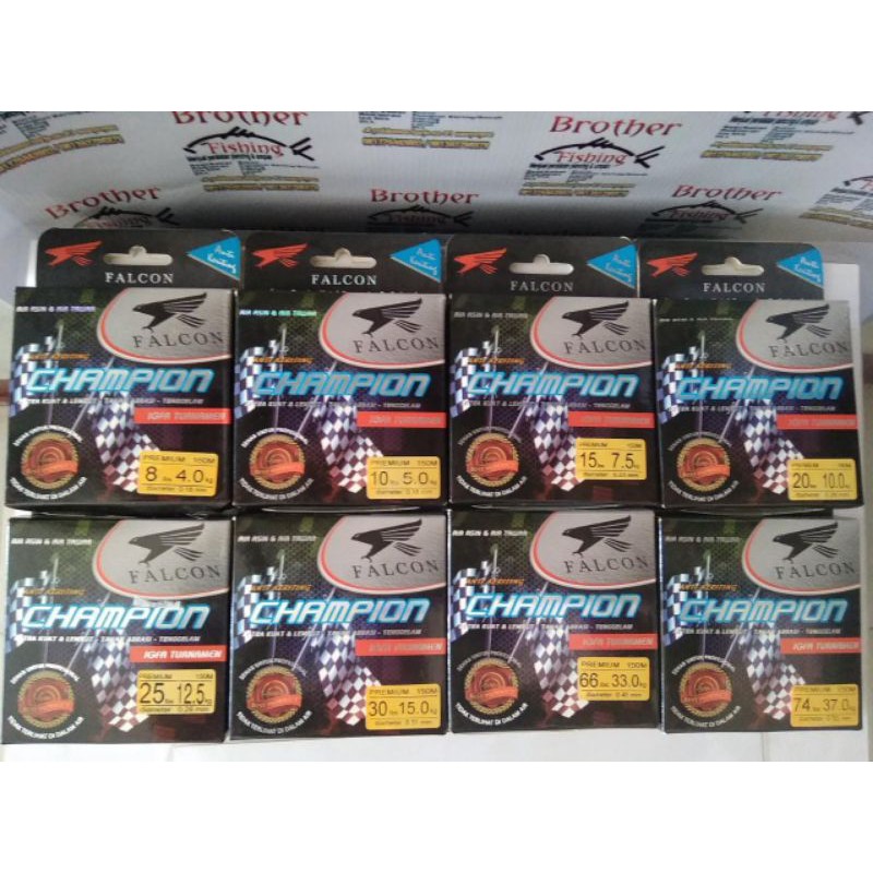 Senar Falcon Champion dan Falcon Diego