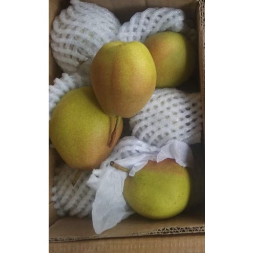 Pear Xianglie Pir Xiang lie manis 500 gram-1kg