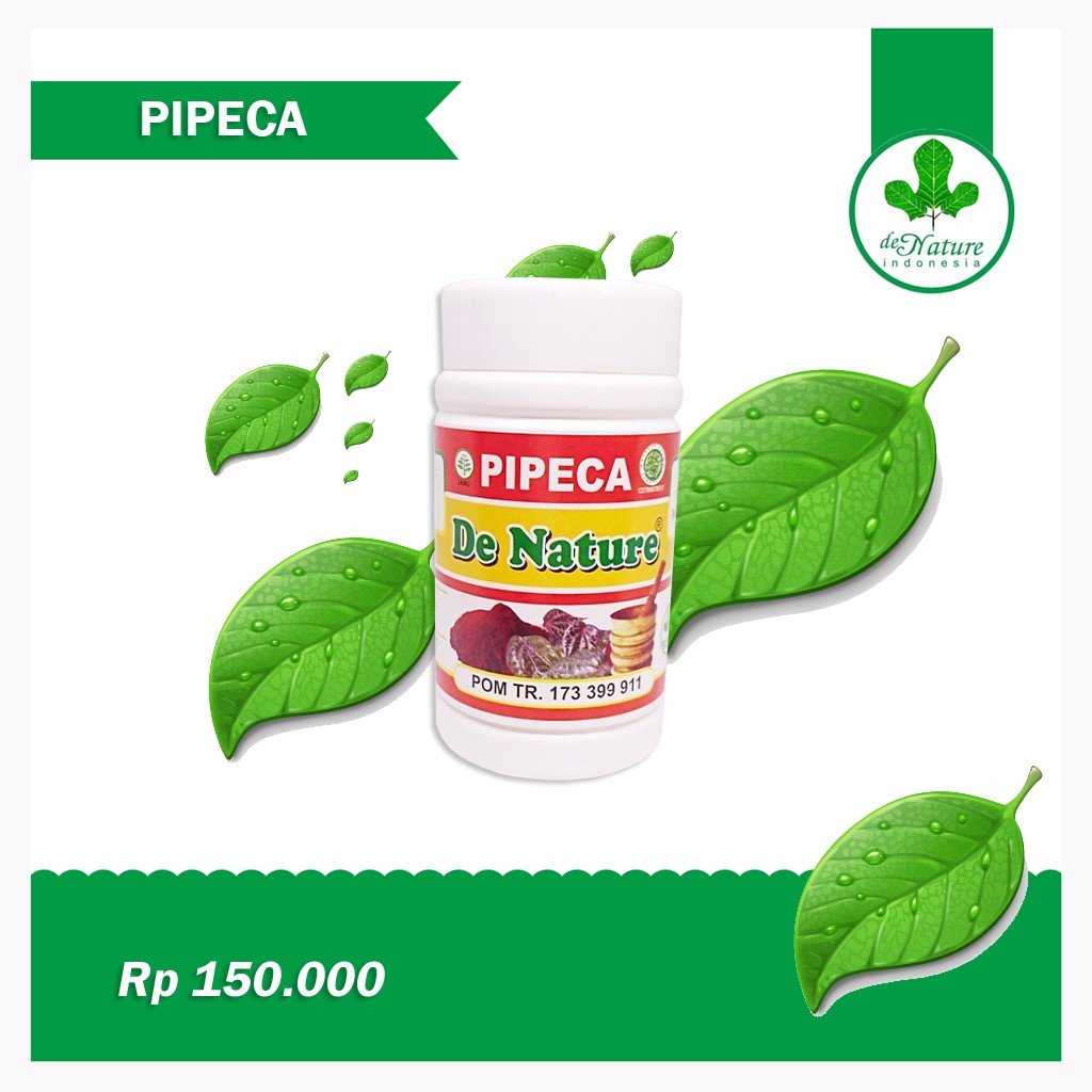 

Kapsul Pipeca | Ektrak Daun Sirih Merah Anti Oksidan