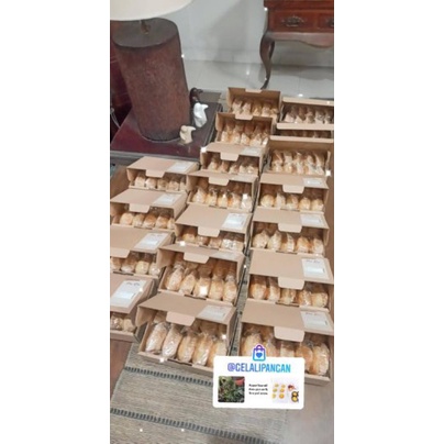 

Bakpia Halal Pia Ria