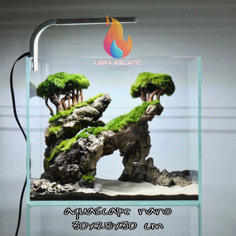 AQUASCAPE FULLSET TEBING BONSAI