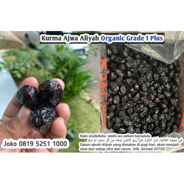 

Kurma Nabi, kurma Ajwa Aliyah organic grade 1 plus 1000gr