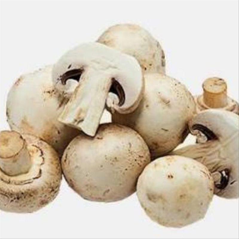 

Jamur Champignon Mushroom segar per 500 gr SAYUR PRAKTIS ONLINE Bandung