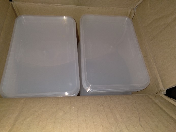 Thinwall Premium Rectangle Kiip Natural Set (650ml) Persegi Panjang Bening