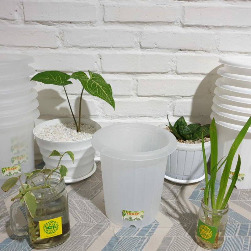 Grosir POT Bunga Premium Yogap YPT 15 Transparan Plastik 15 Tebal 17cm Murah