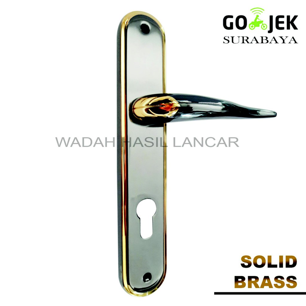 Black And Brass Door Handles