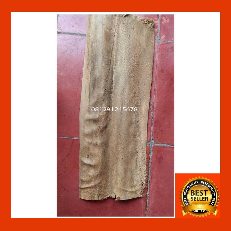 

Pelepah kelapa kering bahan baku produksi ee