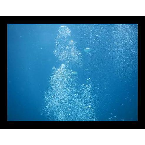 

Air Laut Promo Murah