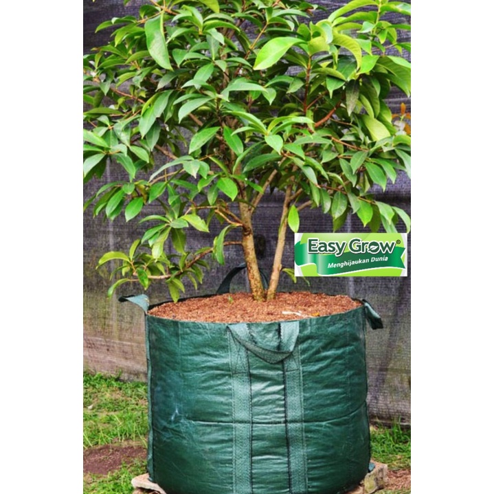 Planter bag 300 Liter EASY GROW planterbag 300liter easygrow kantong Pot polybag semai benih bibit Tanaman buah planter bag 300L