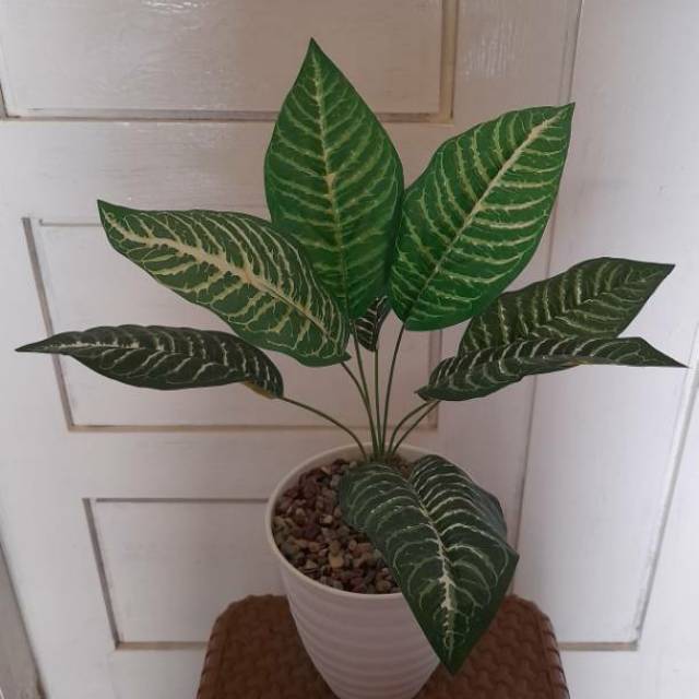 Aneka bunga plastik monstera keladi Shopee Indonesia Aneka bunga plastik monstera keladi Shopee Indonesia