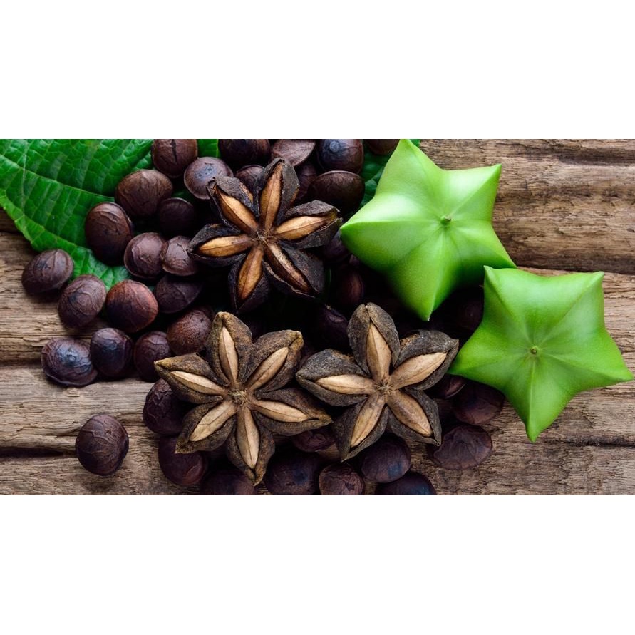 

Teh Daun Sacha Inchi