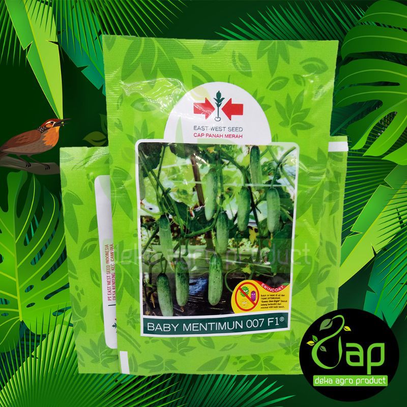 BIBIT BENIH BABY MENTIMUN 007 F1 700BUTIR