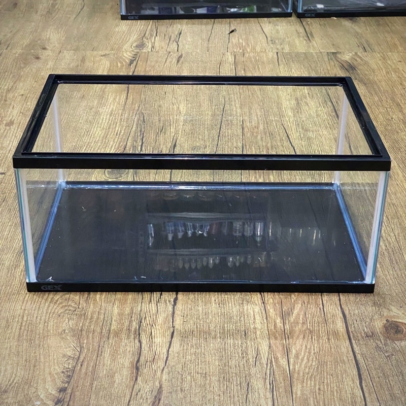 GEX Reptil LL PENDEK Aquarium Kandang Kadal Bearded Dragon Kura Air RES Gecko