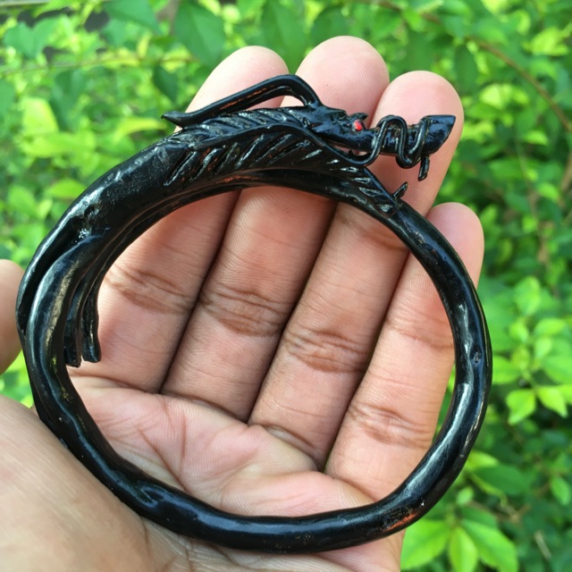 Akar Bahar naga hitam