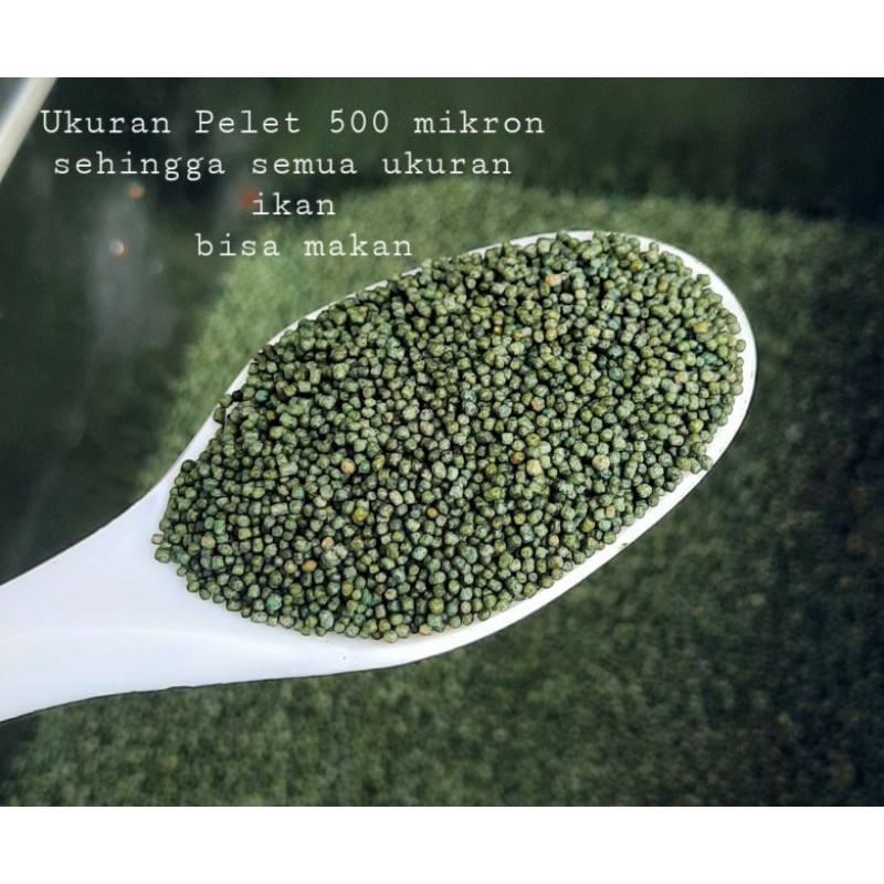 DEMI PELET SPIRULINA kemasan botol 60 gram Untuk keluarkan Warna &amp; Cerahkan sisik ikan Hias