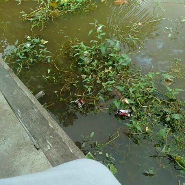 Tey-17 Batik Wanita Asj Sa Hrb026 Kenongo Kemeja Tosca Pendek