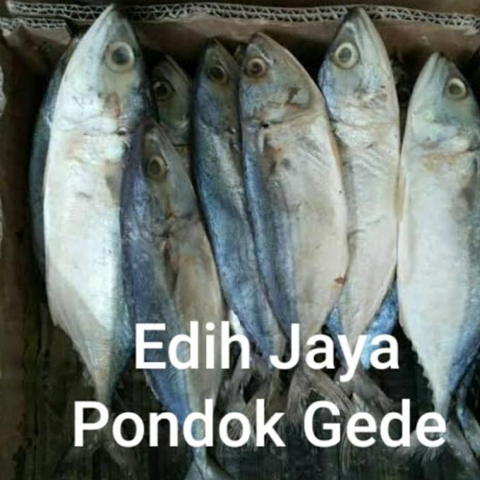 

[COD] Ikan Asin Peda Putih Netto 500 Gram [COD]