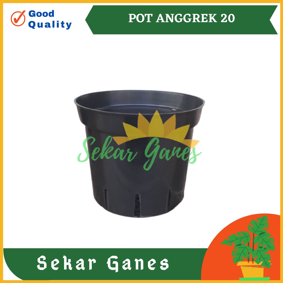 Pot Bunga Anggrek 10cm | Jual Pot Plastik Orchid 10 Cm Grosir Murah