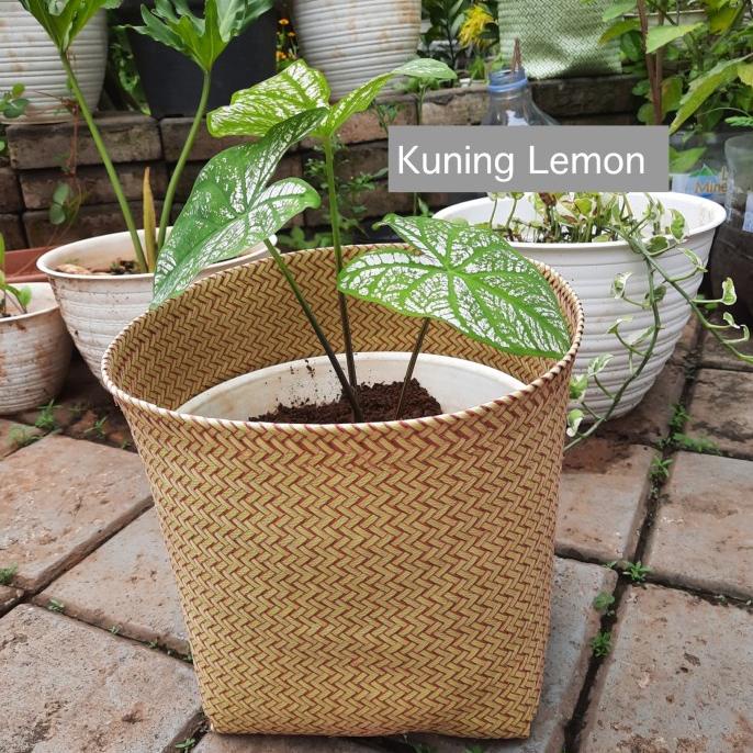 Cover Pot Plastik / Keranjang Anyaman Plastik / Coverpot Anyam G01